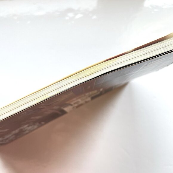 Final Fantasy II 2 Strategy Guide Brady Games - Official Strategy Guide Book - Picture 16 of 16